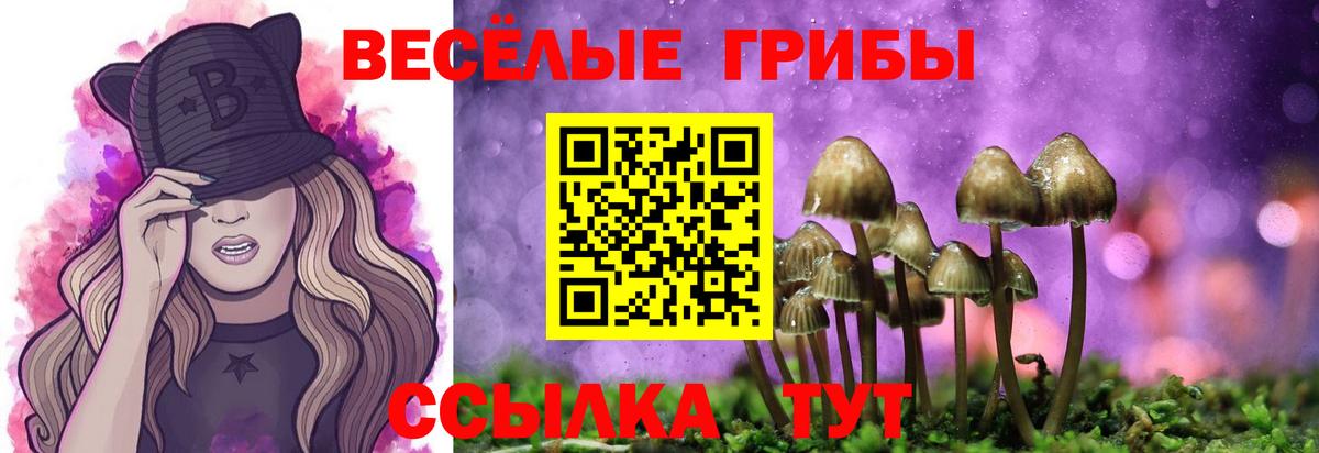 Черкесск  Псилоцибиновые грибы ЛСД  Галлюциногенные грибы Magic Shrooms  Вход с VPN 